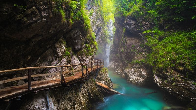 Udflugt 3: Vintgar-kl�ften (inkl. frokost)